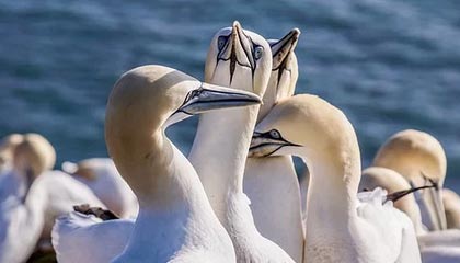 蓝海守护行动 青岛香港中路