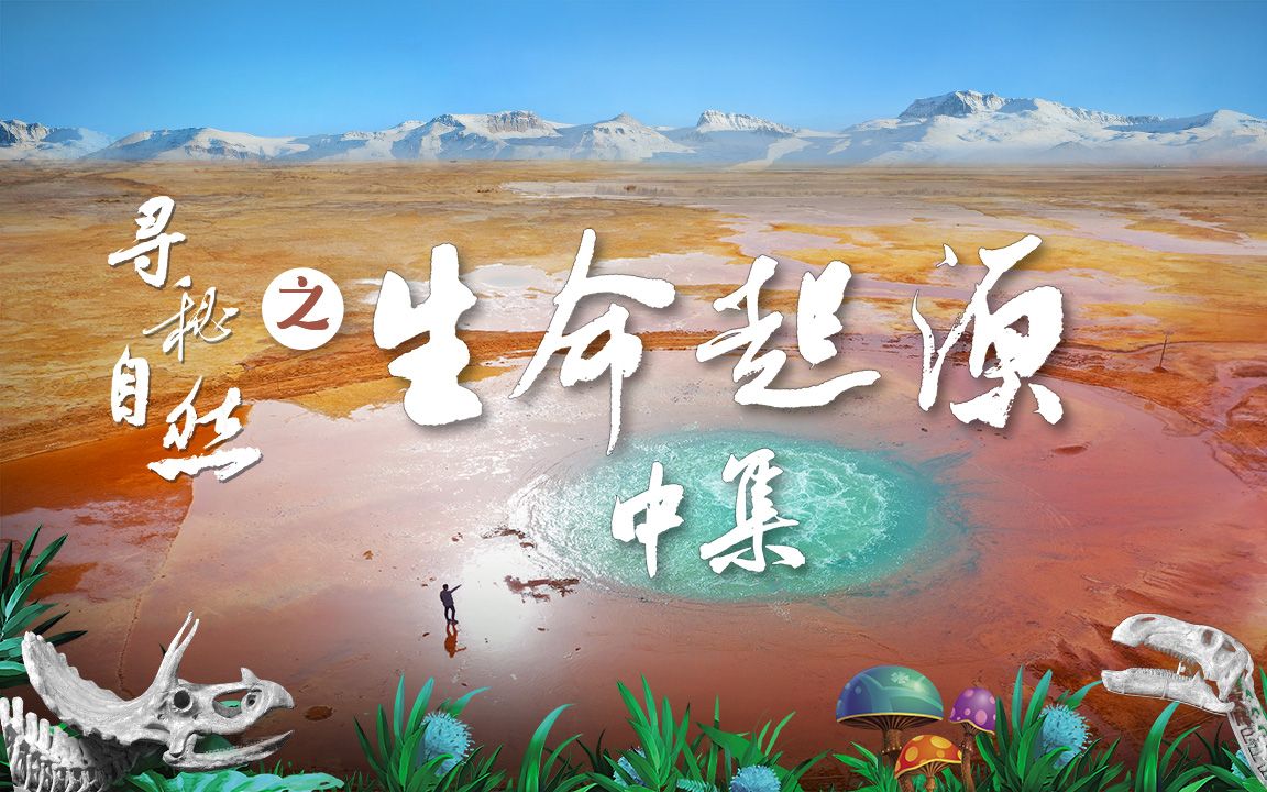 生命起源于海底热泉的证据是什么