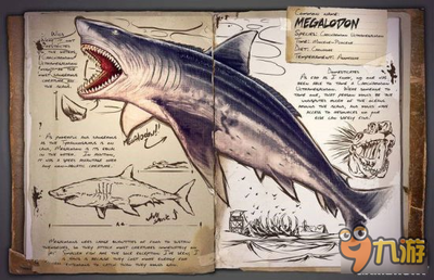 海底生物名称大全图鉴