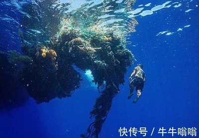 海洋环保意义