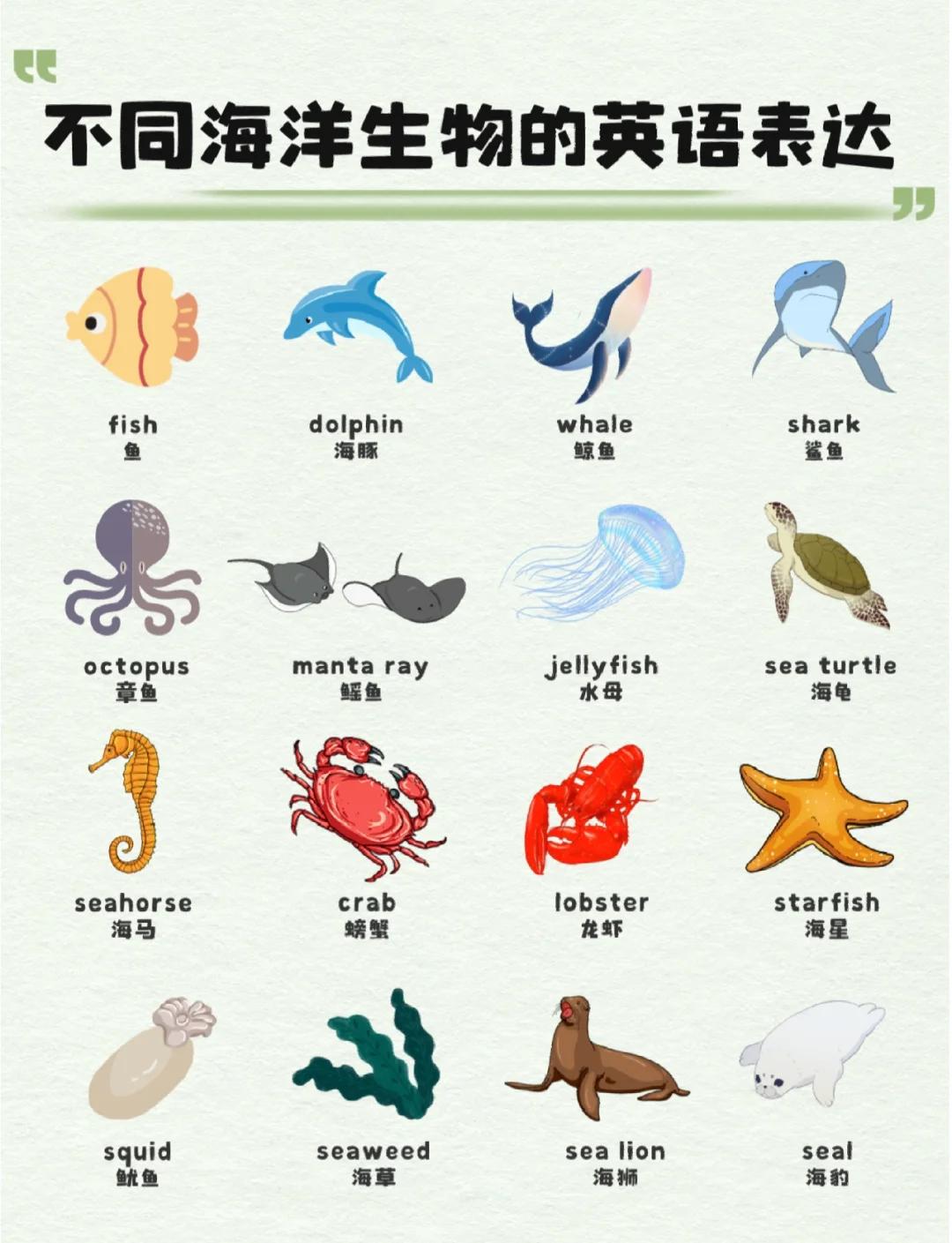 海底生物图鉴