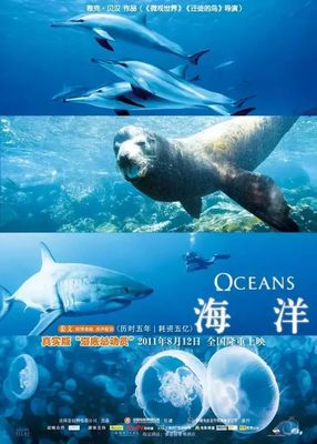 海底深处的生物纪录片