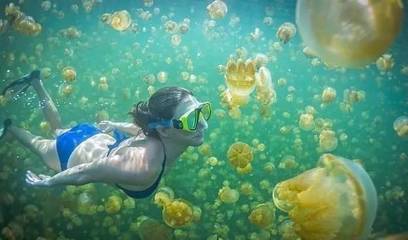 潜水秘籍在哪里获得的