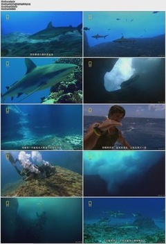 深海探索纪录片迅雷下载