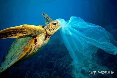 海洋环保理念是谁提出的