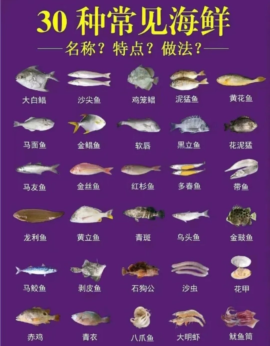 海底生物大全