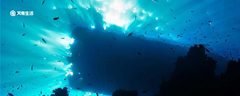 潜水器叫什么名字?