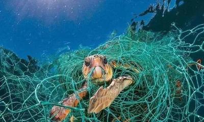 海洋环保理念有哪些