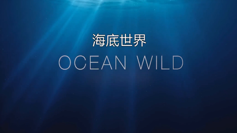 纪录片《海底世界》