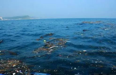 海洋污染治理案例
