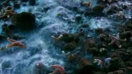 潜水器排行榜前十名