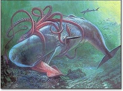 深海探秘动画片乌贼