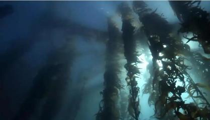 科教纪录片深海探秘