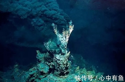 深海海底生命的源泉是阳光海底热泉