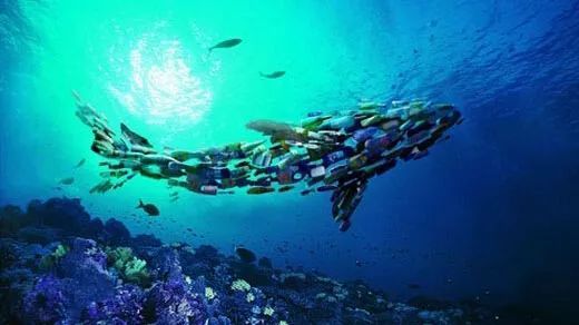 海洋污染治理公司